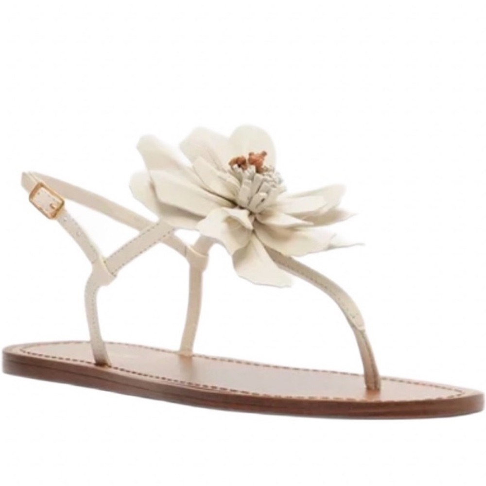 Arezzo Floral Sandal
Size 9.5